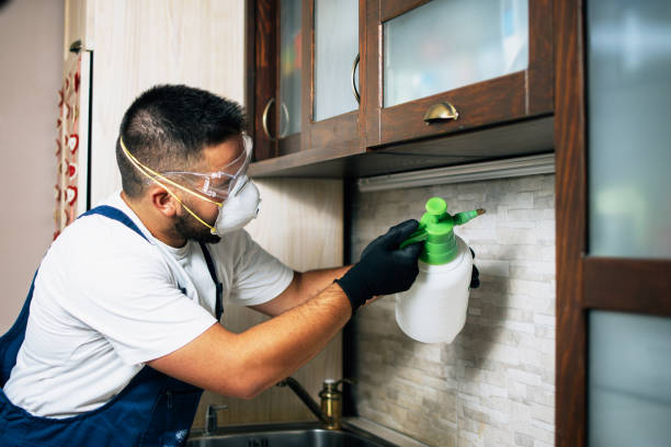 Best Local Pest Control Services  in Edgewater, MD
