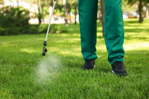 Pest Control for Restaurants in Edgewater, MD