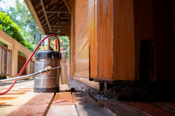 Best Pest Removal Services  in Edgewater, MD