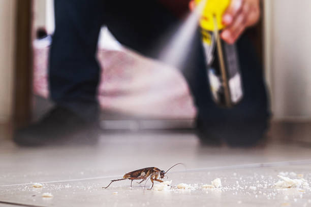 Best Pest Prevention Services  in Edgewater, MD